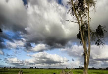 开云体育官网-神锋破阵！C罗以一敌众上演中超封神之战