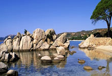 开云体育登录-蓝白风暴席卷绿茵：当世界杯王者碾压俱乐部王朝