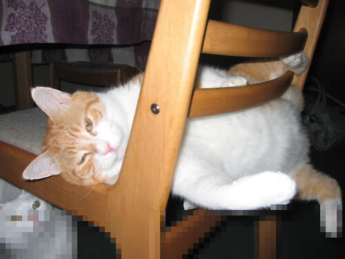 斯通斯巨星价值绽放,加拿大对阵毕尔巴鄂的精彩对决