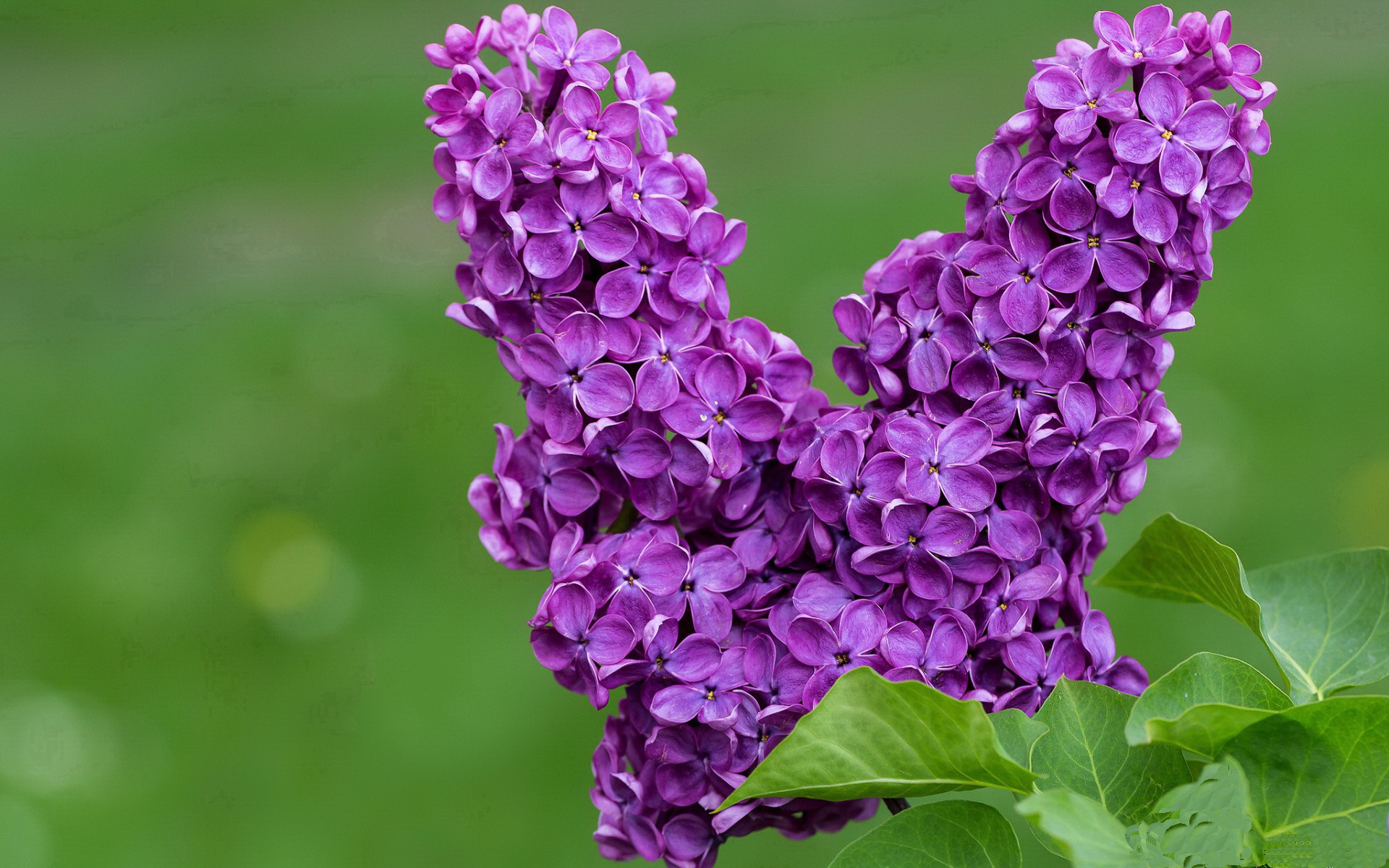 七十一分之夜，当凡人躯壳迸发神迹