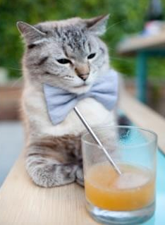 一顶帽子戏法与三记耳光，当拉齐奥横扫阿根廷，皮克在马拉多纳的注视下完成终极输出