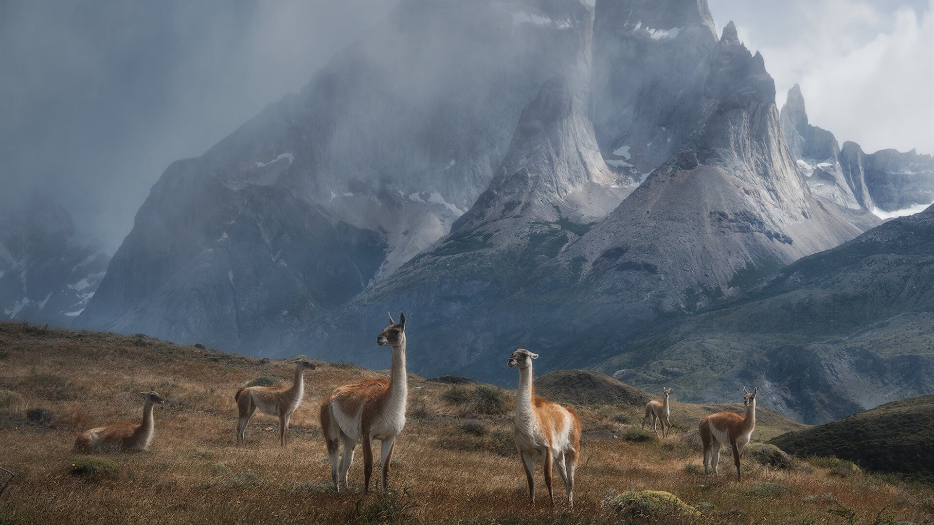 决胜时刻的奥运序曲，灰熊绝杀雷霆背后的国家队选拔暗战