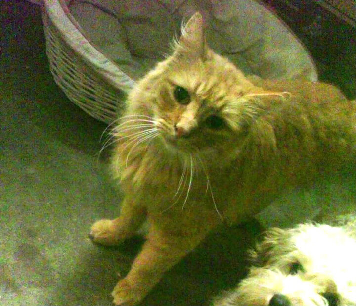 掌控与粉碎，哈登的节奏艺术与奇才队的战术破局—当个人英雄主义遇上团队解构