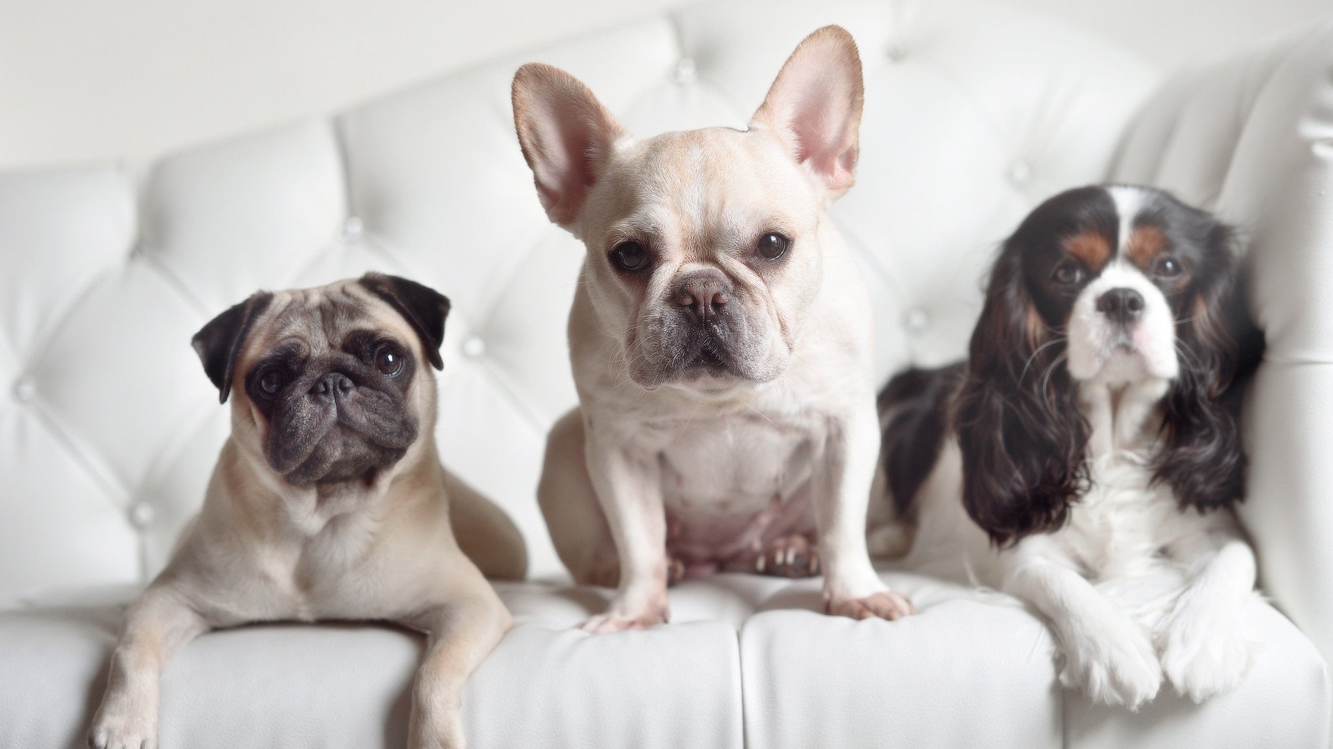 隐形主宰，福登如何在争冠之夜以幽灵般的全能统治攻防两端