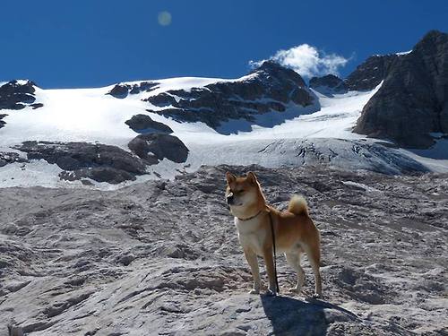 规则与灵感的战争，当活塞的铁链锁住热火，欧文在世界杯解封天赋