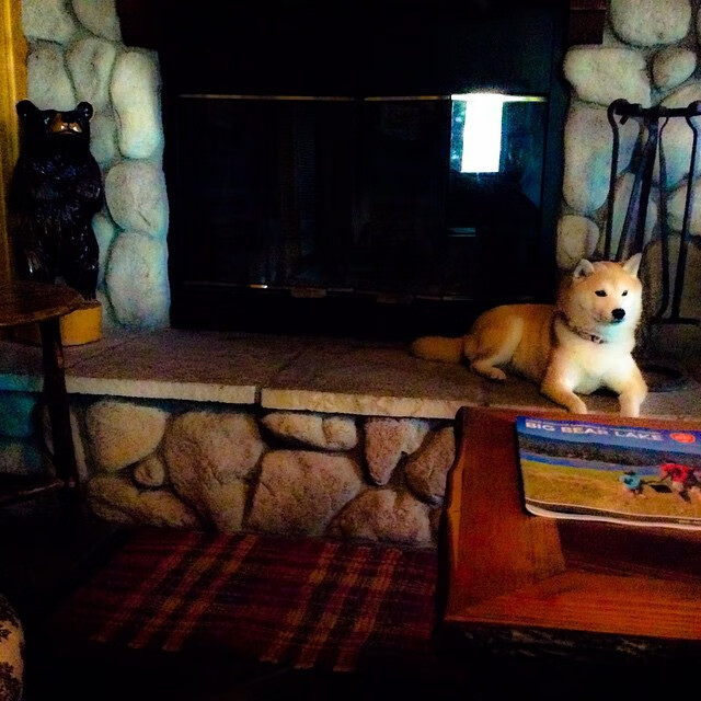 楚阿梅尼丈量足球版图，从佛罗伦萨的法国印记到加纳血缘的里程碑