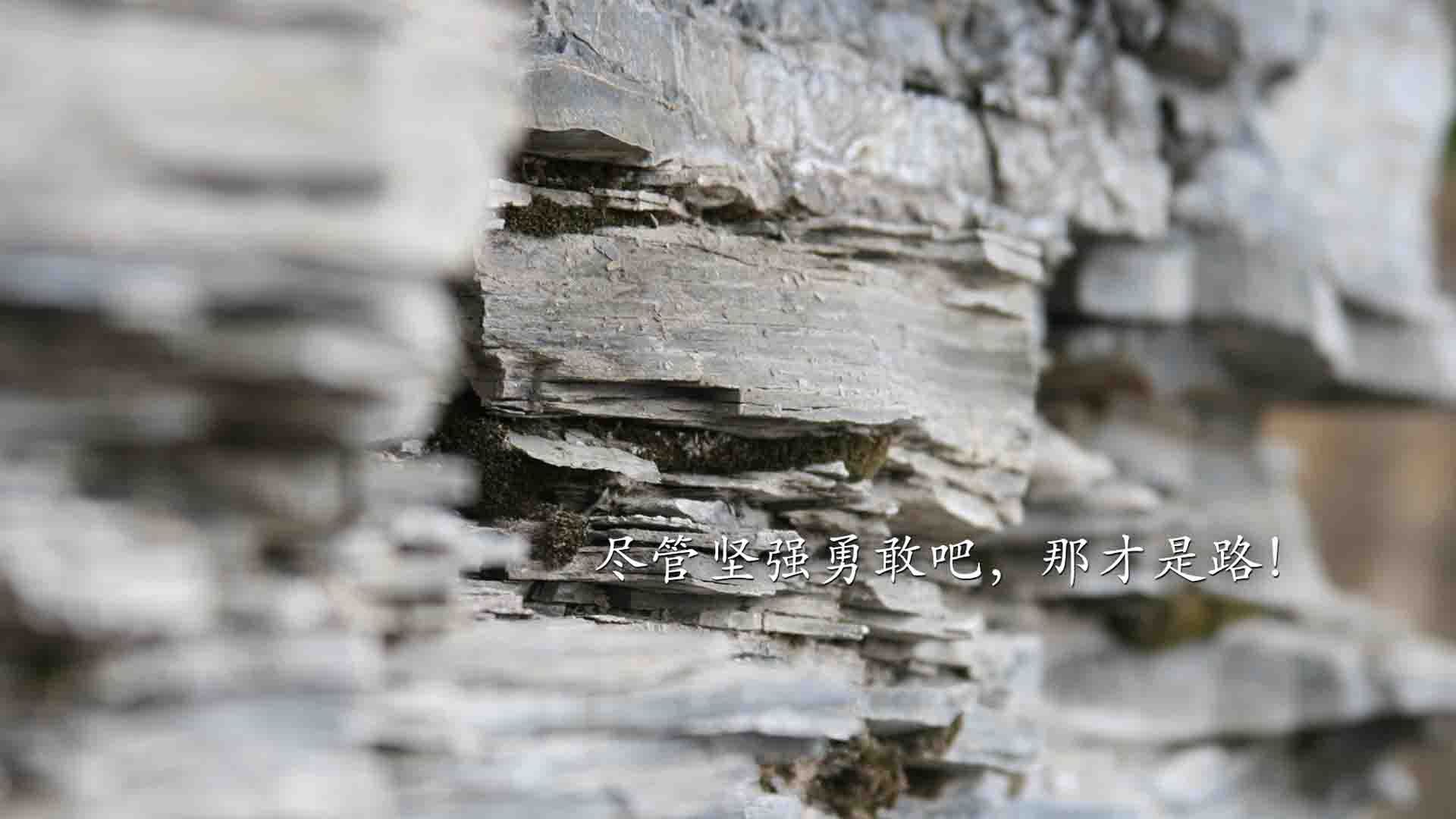 开云体育登录-妖刀出鞘，终不敌血脉图腾，当内马尔的桑巴焰火照亮苏格兰的钢铁森林