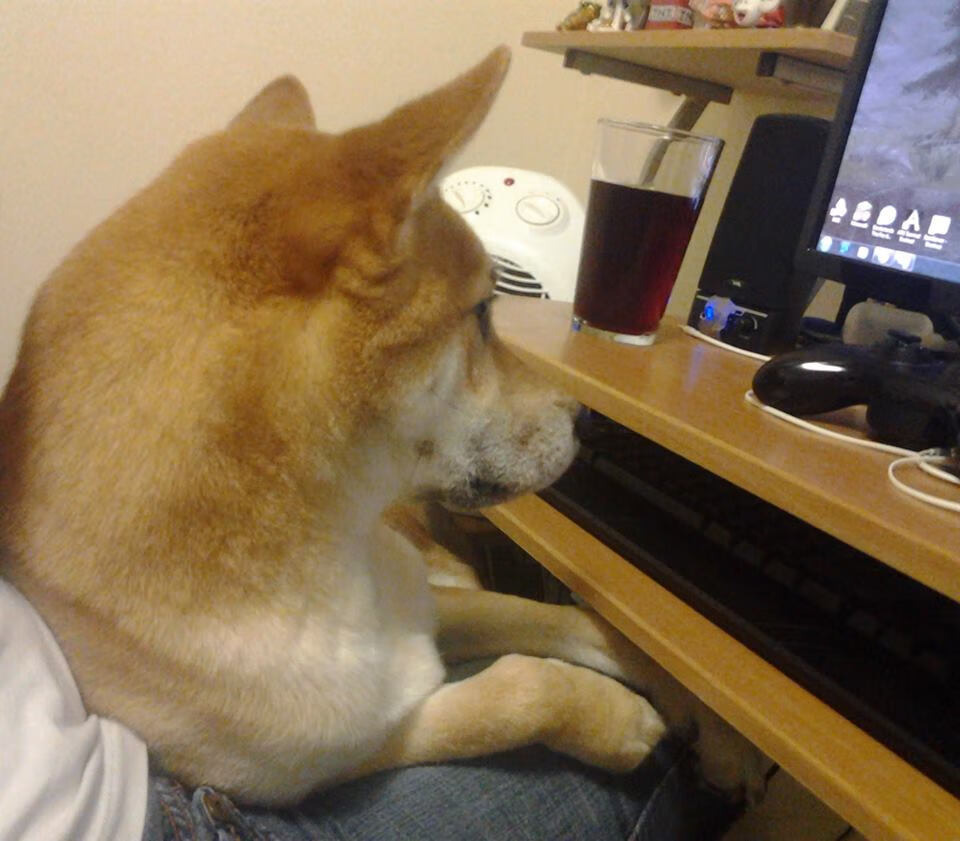 开云体育官网-终场前闪耀，布鲁诺一锤定音，勒沃库森终结红牛不败金身