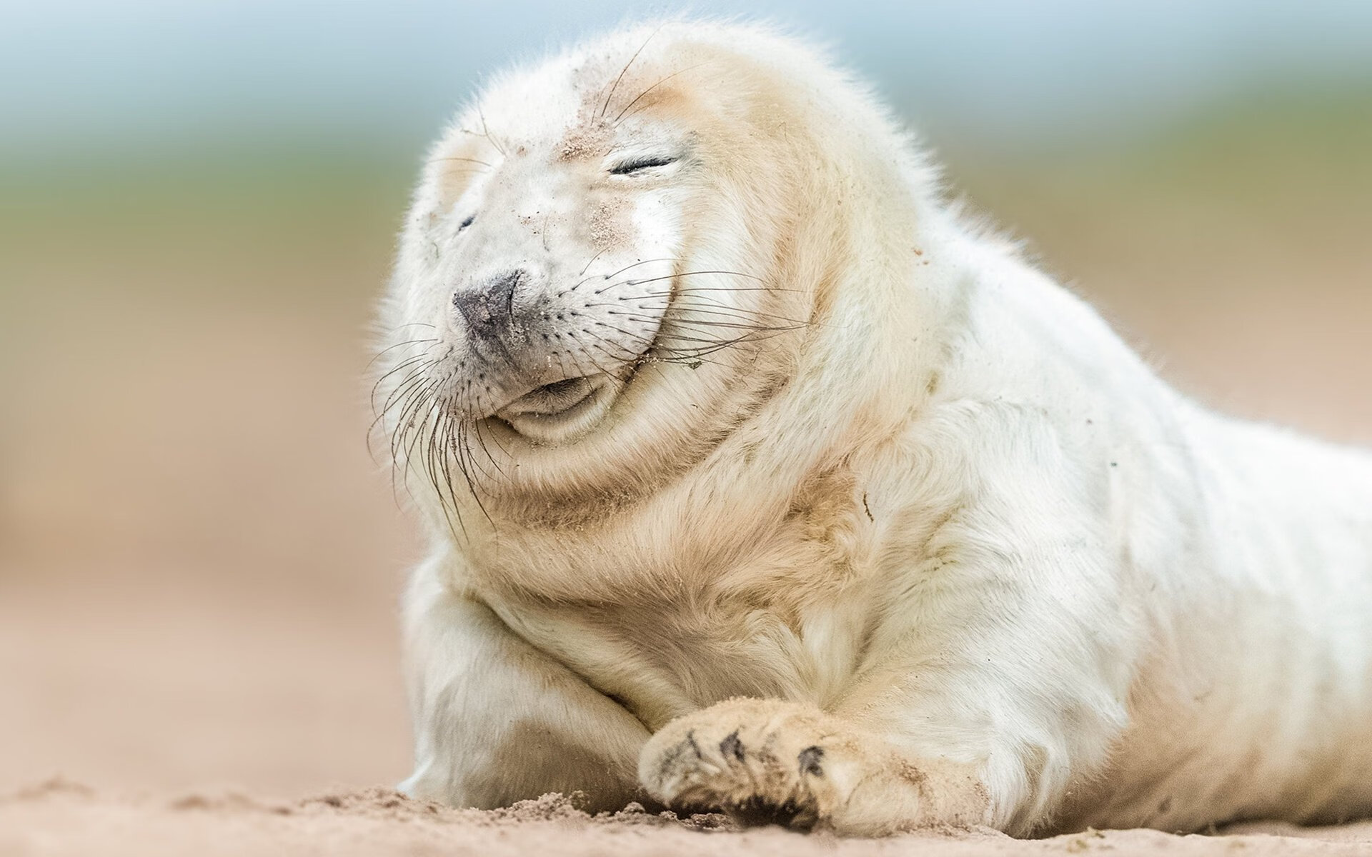 缩小与放大，世界杯战术的罗马式单节思维