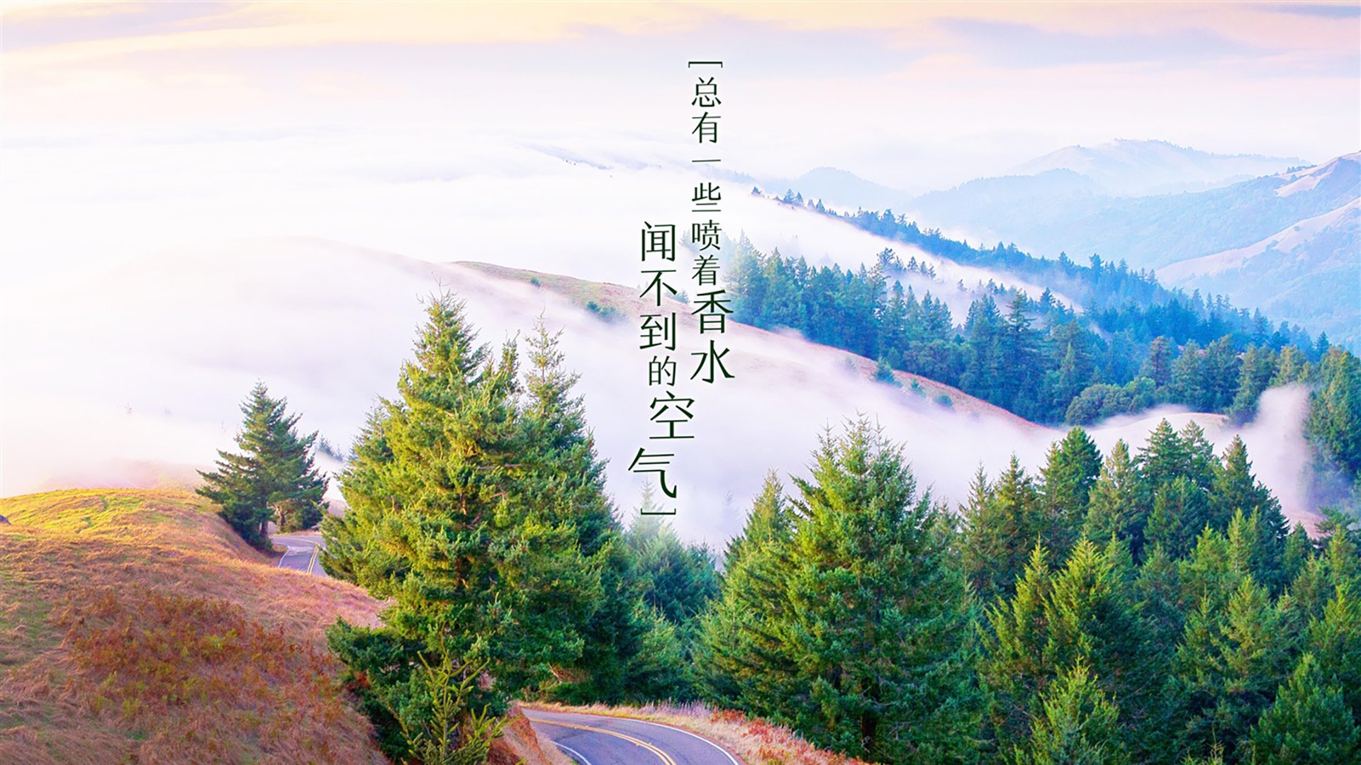 逆转之夜,京多安的孤勇与喀麦隆的铁血,2026世界杯C组最震撼剧本